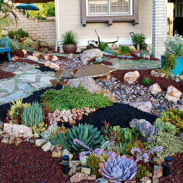 Lake Forest HOA Home Front Yard Remodel with Drought Tolerant Succulent Garden
