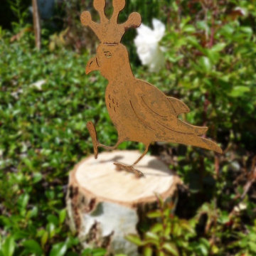 Zaunkönig