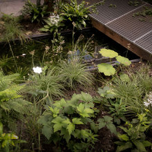 mlsmith design ideas - bridge/pathways