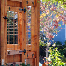 Landscape Ideas