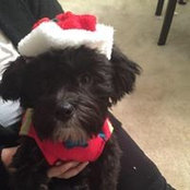 Mike Bryant's photo