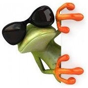 Foto de Donna Freeman
