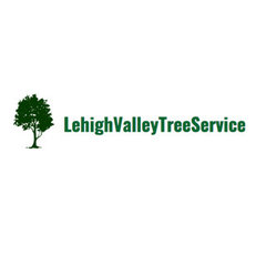 Lehigh Valley Tree Service