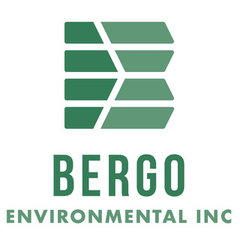 Bergo Environmental Inc