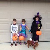 Karen Klein's photo