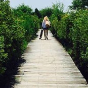 Brooke Sheerin's photo