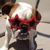 Julie Thomas-Fischer's photo