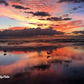 Timothy Barnes's photo