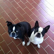cgc's photo