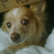 Morgan Kane's photo