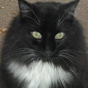 Valerie Cullison's photo