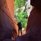 Foto de Jared Goodspeed