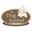 The Dog Kennel Collection