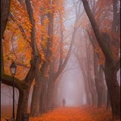 Donna Darling's photo