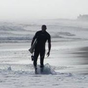 Shawn Whitlock's photo