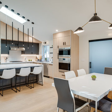 Modern House