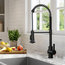 Britt Commercial Style Pull-Down Single Handle Kitchen Faucet Matte Black