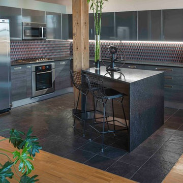 Urban Industrial Loft