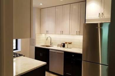 Kitchen - contemporary kitchen idea in New York