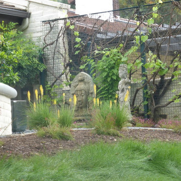 Low Water Garden Design