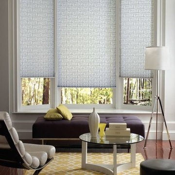 Hunter Douglas Window Treatments