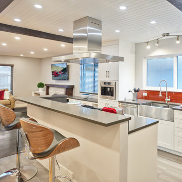 Modern, Open Concept Contrast Kitchen