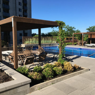 Modern pergola and privacy walls