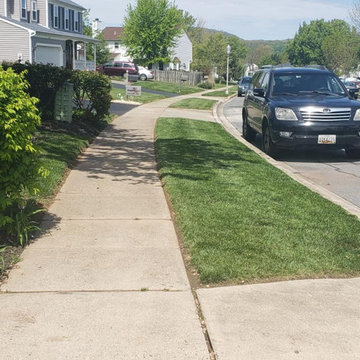 Sidewalk Landscaping