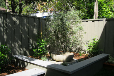 Water Feature, Trellis, & Raised Bed