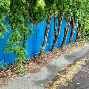 Exterior House Painting
