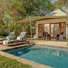 SABI SANDS - SAVANNA