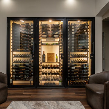 Glass Wine Cellars with Framed Door