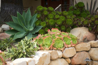 Inspiration for a mid-sized contemporary drought-tolerant and partial sun stone landscaping in Los Angeles.