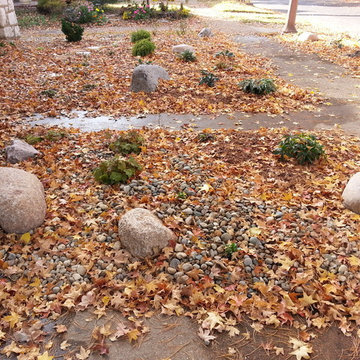 Xeriscaping