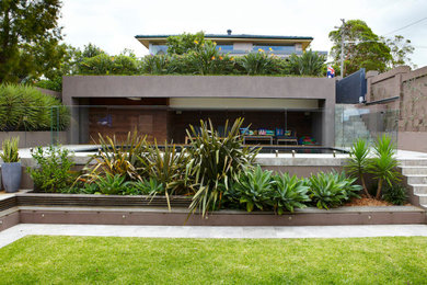 Design ideas for a garden in Sydney.