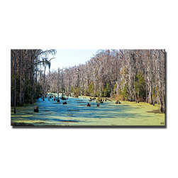 Ready2HangArt - "Morass" Canvas Art By Bruce Bain, 20"x40" - Prints And Posters