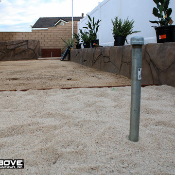 Brown Backyard