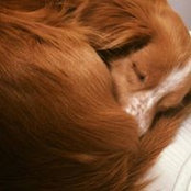 Marie Calloway's photo