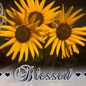 Jlo Jones's photo