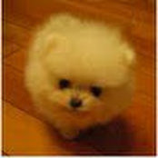 Tong Chen's photo