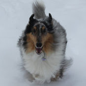 Kristin Taubel's photo