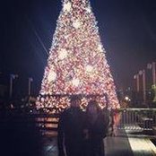 Lenna Lin's photo
