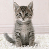 juliette demaria's photo