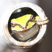 Therese Buckingham's photo