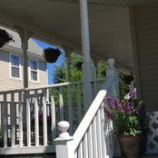 Janine DeSimone's photo