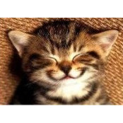 Susana Dante's photo