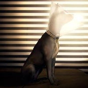 Maxim Ataev's photo