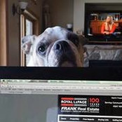 Brenda Savage's photo