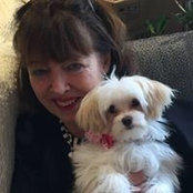 Lynn Paradis's photo