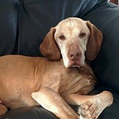 Laura Mentel-Lefever's photo